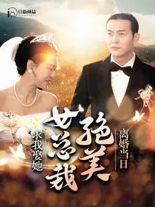 《离婚当日，绝美女总裁求我娶她》：逆袭爽文？还是真爱至上？深度解读剧情反转！