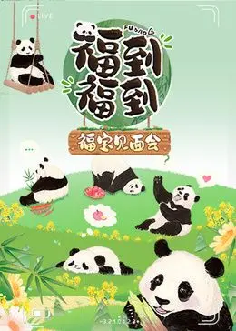 《福到福到福宝见面会》：熊猫顶流福宝回家，萌化你的心！见面会全程回顾与感动瞬间