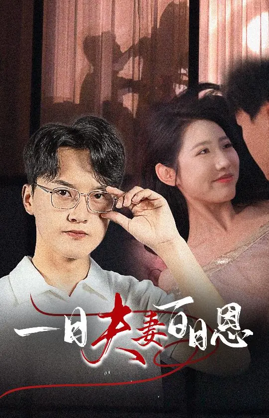 《一日夫妻百日恩》：婚姻的真相与救赎之路，都市情感反诈剧深度解析！